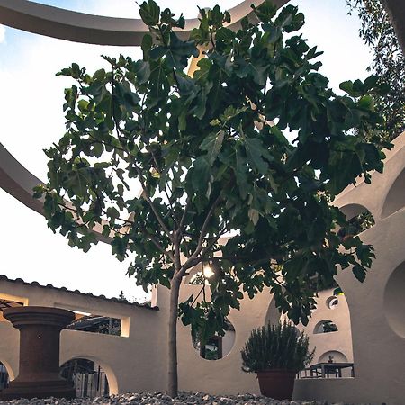 Hotel Schuetz Trier Dış mekan fotoğraf
